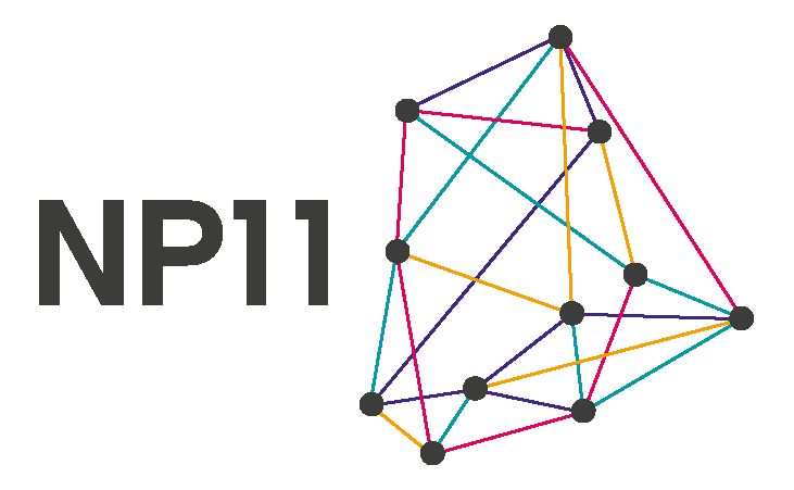NP11 logo